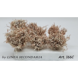 Cespugli Rosa - 6pz.